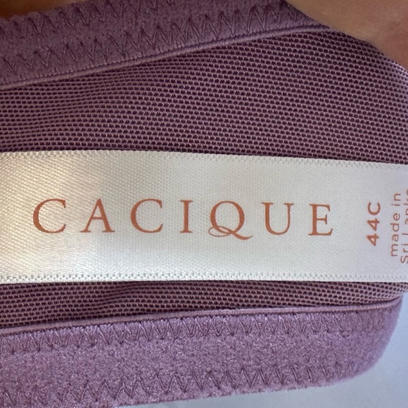 Lane Bryant Lightly Lined Underwire T-Shirt‎ Bra Mauve size 44C NWT - Picture 9 of 11